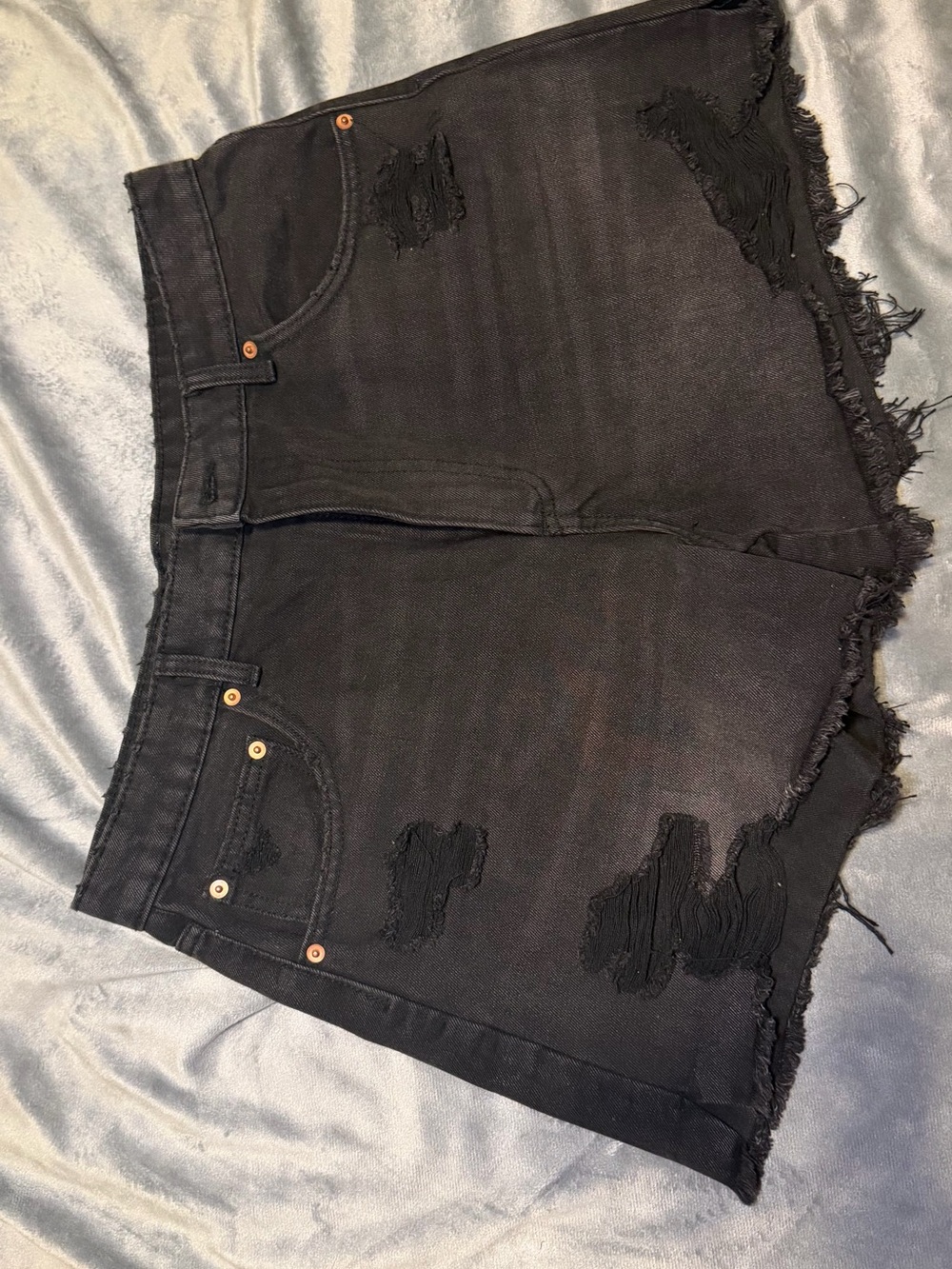 No Boundaries Black Distressed Jean Shorts NEVER WORN W/O tags